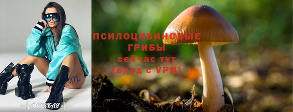 мяу мяу кристалл Магадан