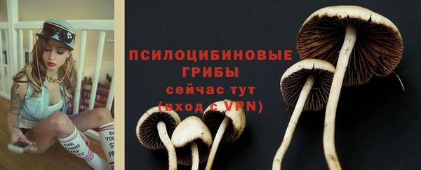 мяу мяу кристалл Магадан