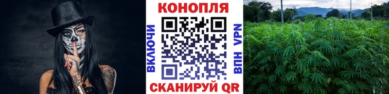 Каннабис планчик  Купить  Ува 